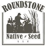 Roundstone native seed - Seeds per Pound: 26,000. Wetland: N/A. Regions: 1,2,3,5. Blue False Indigo is a 3' to 5' tall native perennial legume with intense blue flowers in tall erect racemes. It is a spring and early summer flowering plant that prefers dry to medium soils, full sun, and is drought tolerant. Blue False Indigo may be somewhat slow to establish from seed ...